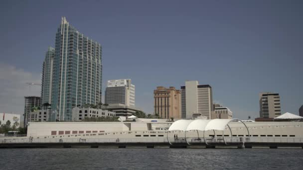 Skyscrapers Towers Tampa Riverwalk — 图库视频影像