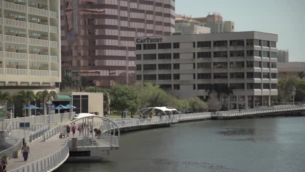 Tampa Riverwalk Hillsborough River — 图库视频影像