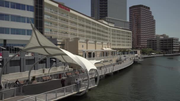 Edifícios Torres Perto Rio Tampa — Vídeo de Stock