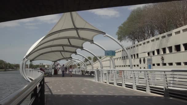 Pessoas Caminhando Rio Tampa — Vídeo de Stock