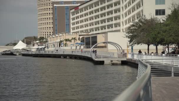 Hillsborough Folyó Tampa Folyóparti Sétány — Stock videók