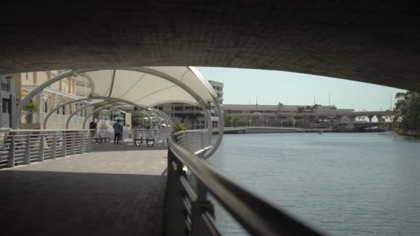 Promenade Tampa Rivière Hillsborough — Video