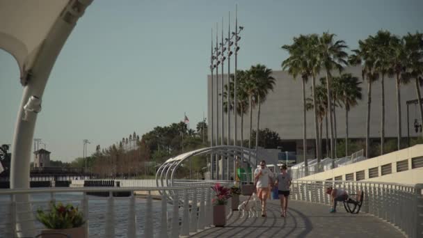 Casal Andando Com Seu Cão Tampa Riverwalk — Vídeo de Stock