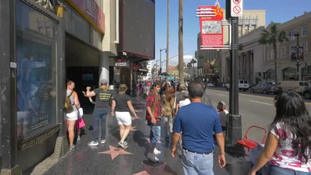 Walk Fame Hollywood — Stockvideo