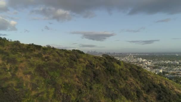 Widok Lotu Ptaka Los Angeles — Wideo stockowe