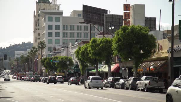 Kör Hollywood Boulevard — Stockvideo