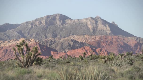 Picos Montañosos Death Valley — Vídeo de stock