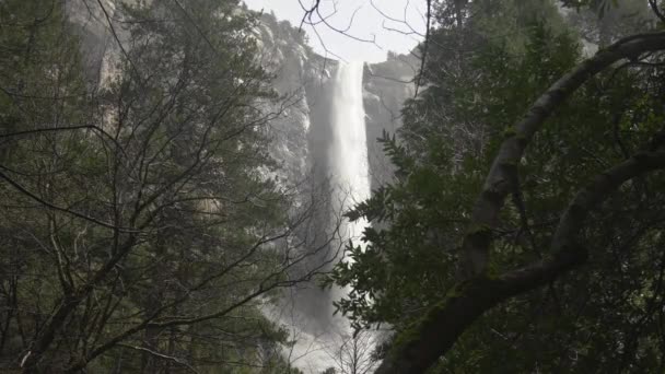 Cascada Detrás Los Árboles Yosemite — Vídeos de Stock