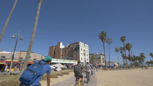 Jazda Rowerach Venice Beach — Wideo stockowe