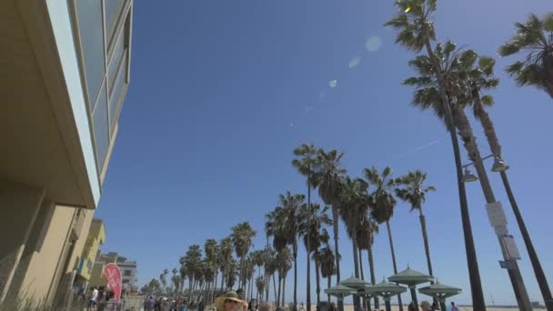 Palmen Und Gebäude Entlang Der Promenade — Stockvideo