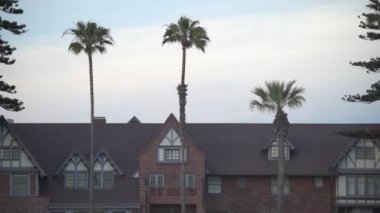 Tuğla binanın önündeki palmiye ağaçları