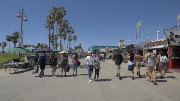 Mensen Lopen Ocean Front Walk — Stockvideo