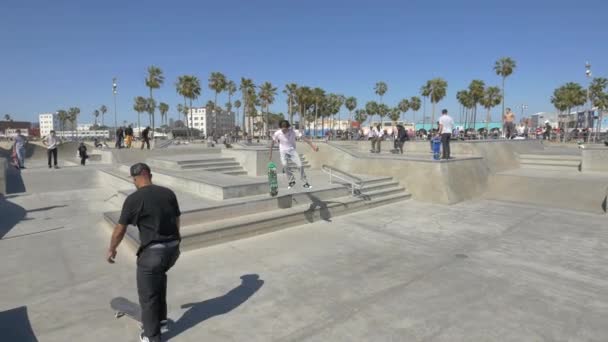 Skateboarders Venice Beach — Vídeo de Stock