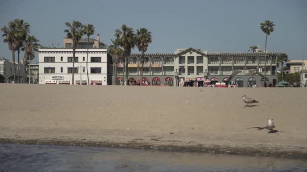 Buildings Beachfront — Stock Video