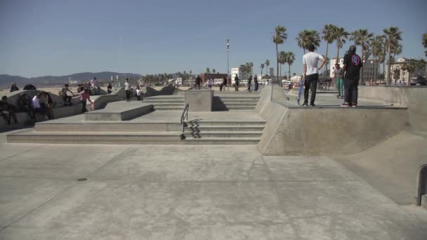 Skateboarders Dans Parc — Video