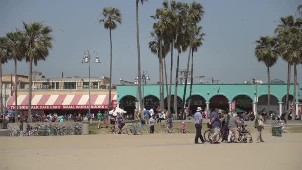 Wandeling Aan Zee Venice Beach — Stockvideo