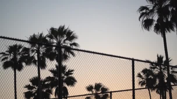 Palm Trees Sport Courts Sunset — Stock Video