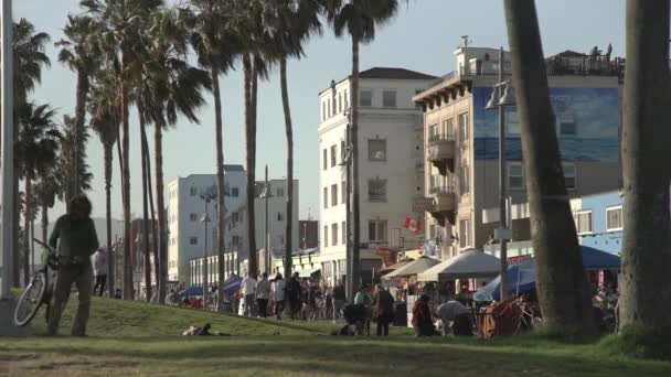 Palmy Budynki Ocean Front Walk — Wideo stockowe