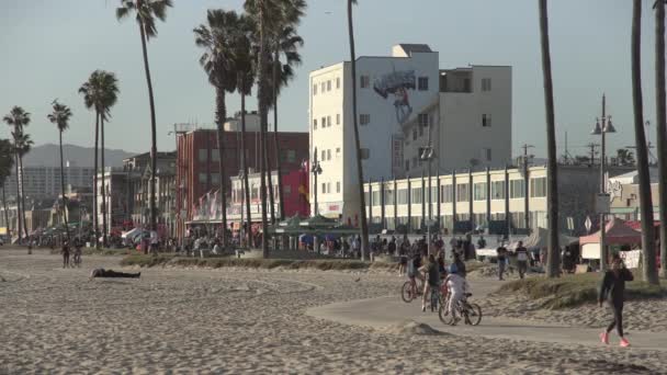 Venice Beach Und Die Strandpromenade — Stockvideo