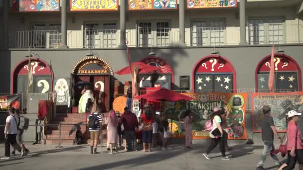 Venice Beach Freakshow Vereinigte Staaten Von Amerika — Stockvideo