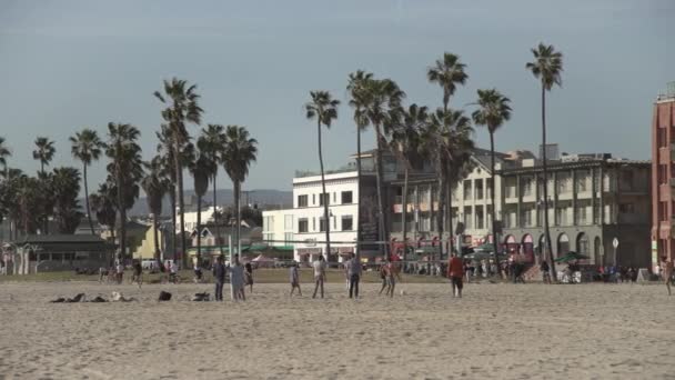 Venice Beach Voleybol Oynuyorum — Stok video