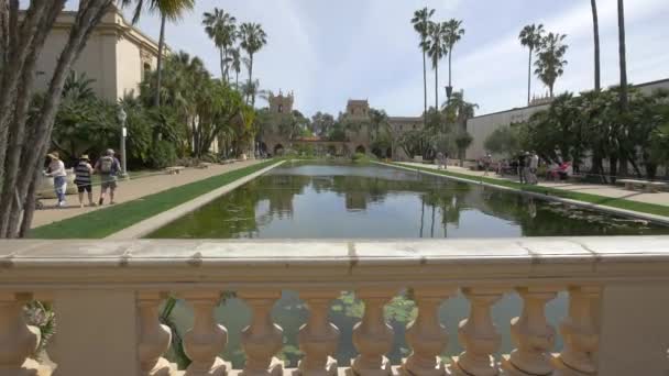 Lily Pond Balboa Park — Stok video