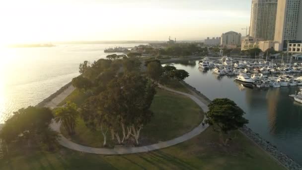 Aerial Shot Embarcadero Marina Park — Stock Video