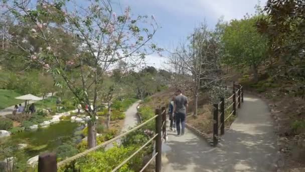 Kävely Japanin Friendship Garden — kuvapankkivideo
