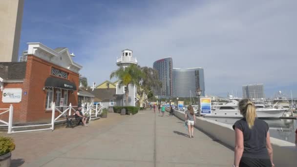 Walking Jogging Waterfront — Stock Video