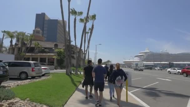 Mensen Lopen North Harbor Drive — Stockvideo