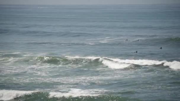 Onde Dell Oceano Surfisti — Video Stock