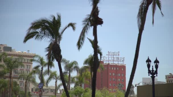 Hotel James Palm Trees — Stock Video