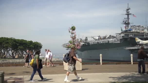 海军舰船附近的花树 — 图库视频影像