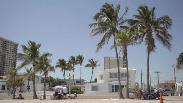 Buildings Palm Trees — Stock Video