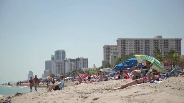 ハリウッド フロリダ州のビーチ — ストック動画