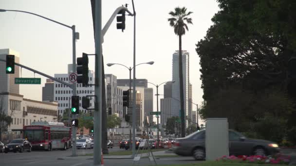 Beverly Hills Caddesinde Arabalar — Stok video