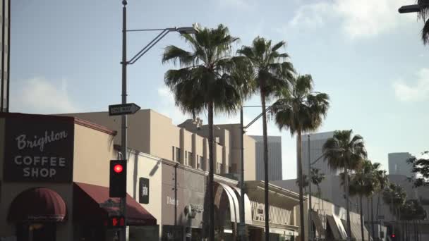 Inclinazione Verso Basso Vista Una Strada Beverly Hills — Video Stock