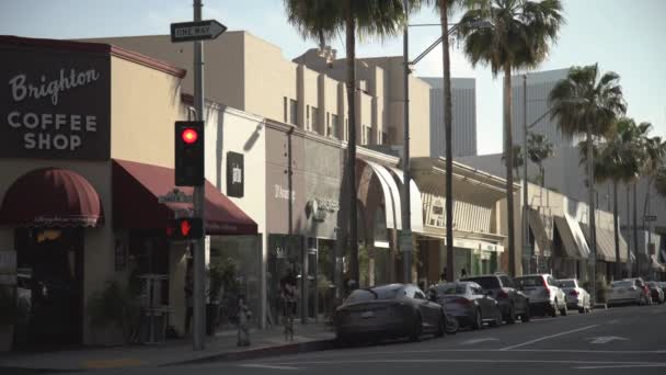 Strada Con Negozi Beverly Hills — Video Stock