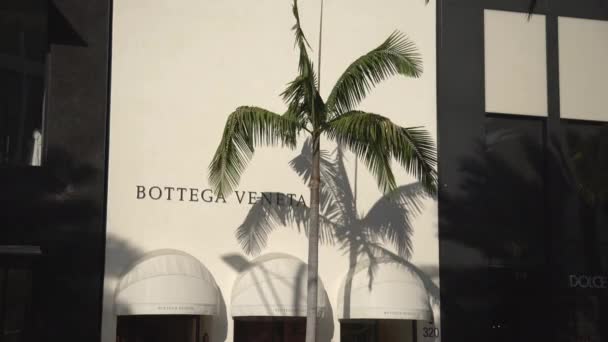 Κατάστημα Bottega Veneta Ηνωμένες Πολιτείες Της Αμερικής — Αρχείο Βίντεο
