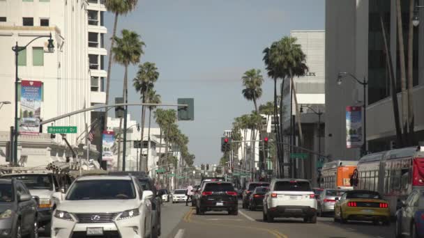 Verkehr Beverly Hills — Stockvideo