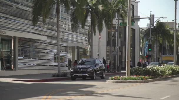 Rodeo Beverly Hills — Video Stock