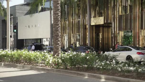 Gucci Och Prada Beverly Hills — Stockvideo