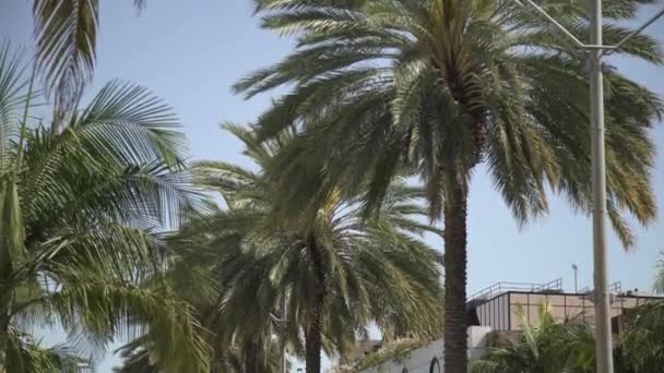 Incline Para Baixo Vista Uma Rua Beverly Hills — Vídeo de Stock