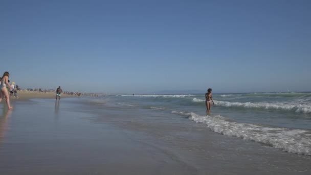 Golven Van Oceaan Bereiken Het Strand — Stockvideo