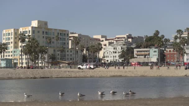 Budynki Plaża Santa Monica — Wideo stockowe