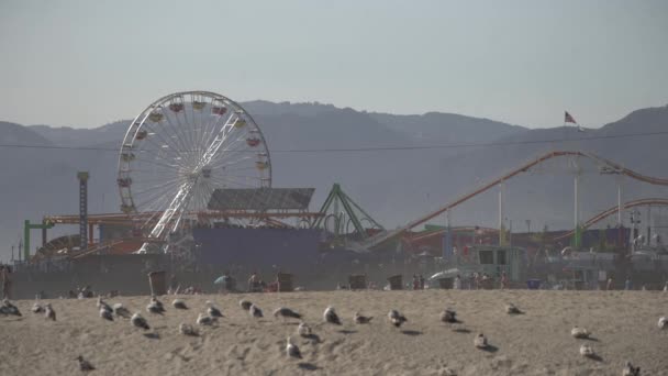 Pacific Park Santa Monica Beach — Stock Video