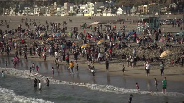 Gran Ángulo Multitud Playa Santa Mónica — Vídeos de Stock