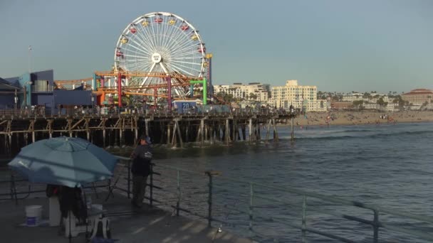 Ferris Wheel Pacific Park Rotating — Stock Video