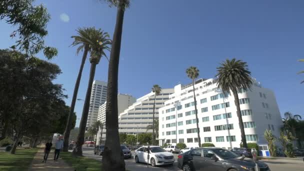 Hotels Buildings Street — Stock Video