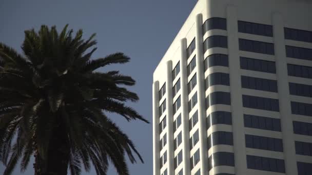 ยงลงของอาคารโรงแรมและต นปาล — วีดีโอสต็อก